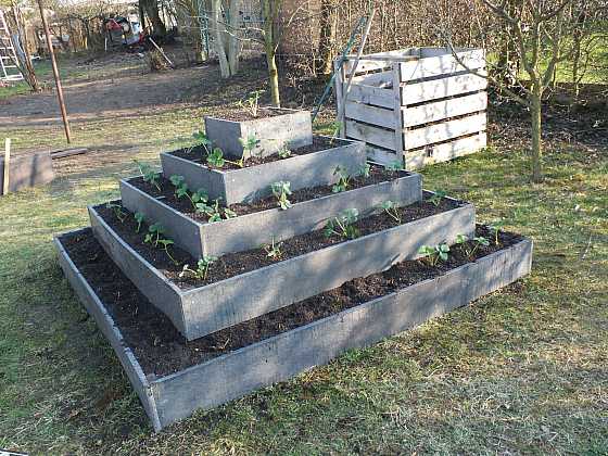 otevřít: Postavte si pyramidu pro pěstování jahod