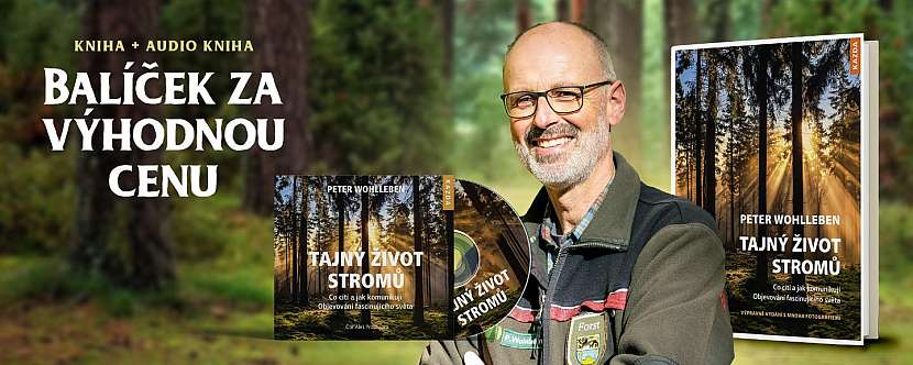Oblíbený lesník a autor knih o přírodě Peter Wohlleben
