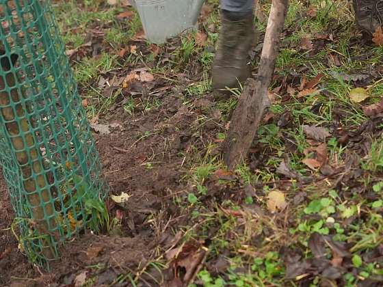 Poslední sezónní úklid zahrady