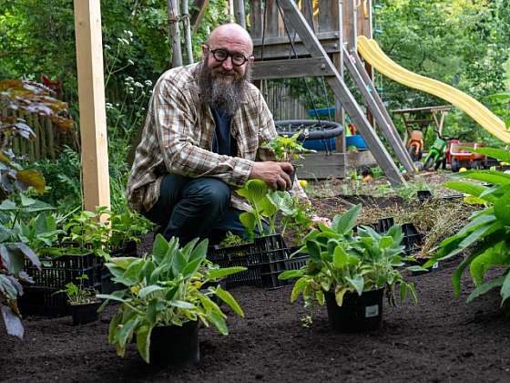 Otevřít článek/video: Zahradník po ruce: Změny v zahradě i pěstování batátů na terase
