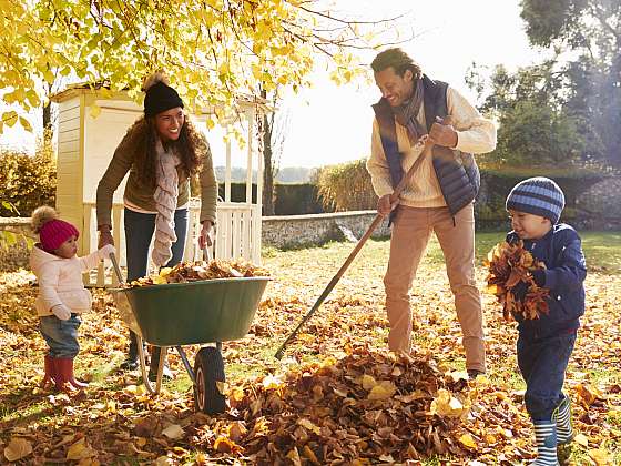 otevřít: Jak dobře připravit trávník na zimu: Hrabání listí je obvyklou listopadovou kratochvílí