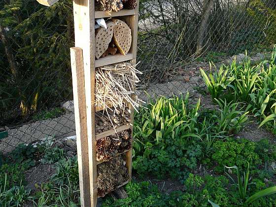 Vytvořte pro svou zahradu hmyzí hotel