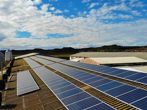 Jak můžete uspořit náklady na energie ve firmách a podnicích