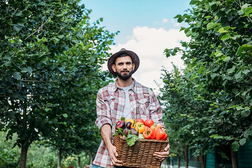 Zahradník s úrodou zeleniny