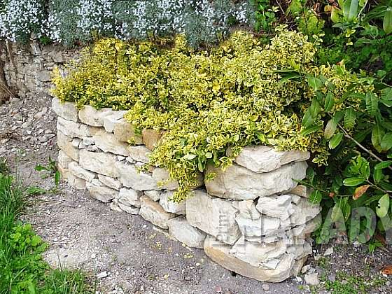 Víte, že stavba suché kamenné zídky má svá pravidla?