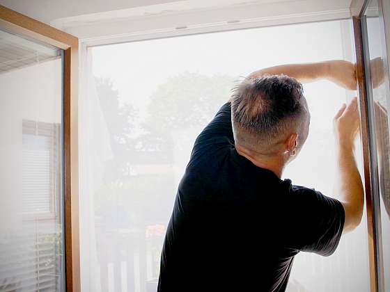 Minutový manžel instaluje do okna síť proti hmyzu