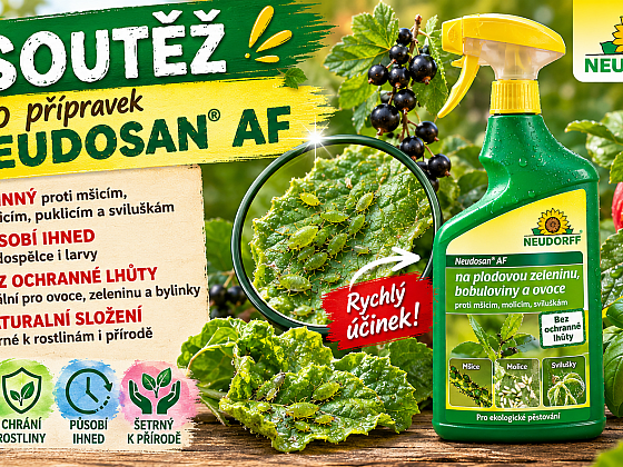 otevřít: Vyhrajte přípravek proti savému hmyz, zejména mšicím a molicím, Neudosan AF od firmy W. Neudorff