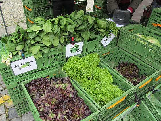 Otevřít článek/video: Farmářské trhy Strakonice