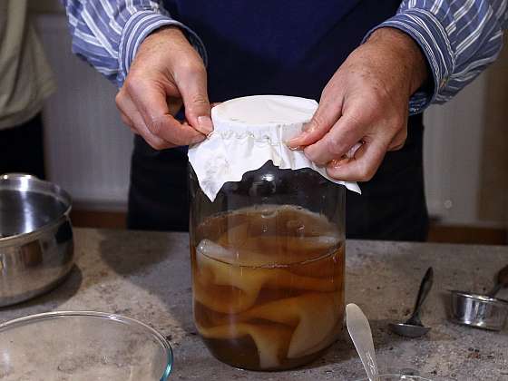 Kombucha, téměř zázračná řasa: Vylepšete své zdraví!