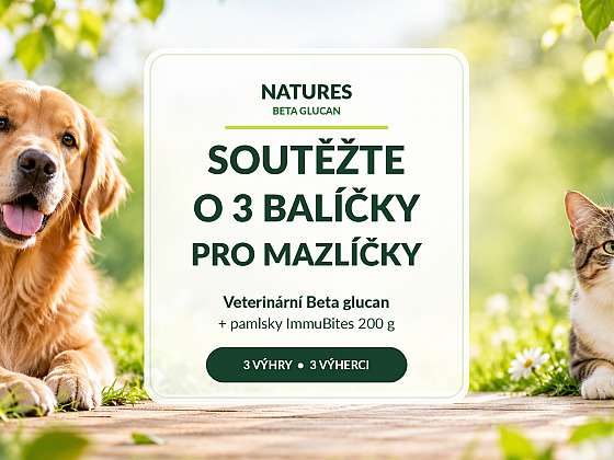 Otevřít článek/video: Vyhrajte jeden ze 3 balíčků s Beta glucan a pamlsky ImmuBites pro čtyřnohé mazlíčky