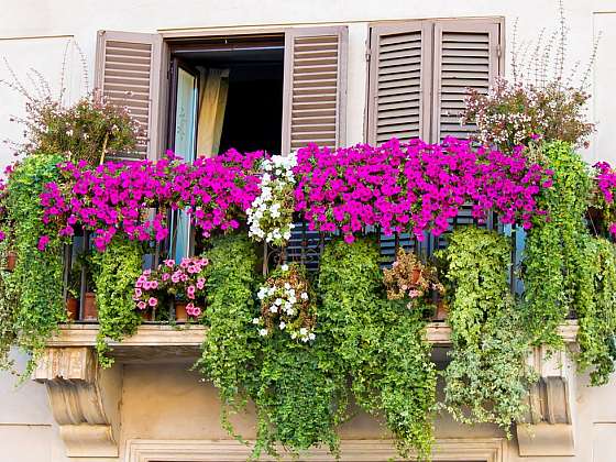 Balkon plný květů jako u sousedů v Alpách