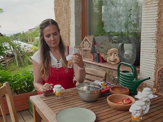 Jak připravit semínka rajčat na novou sezonu