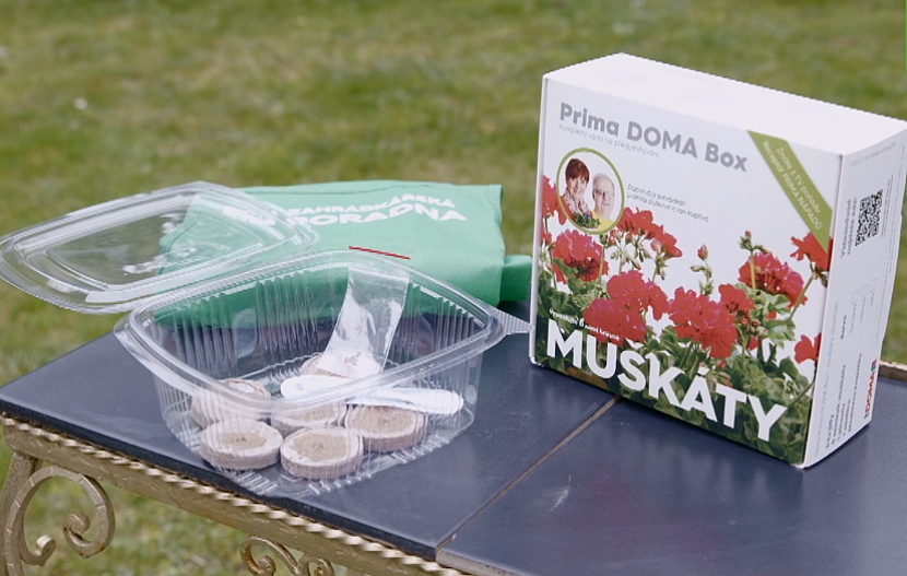 Vyhrajte Prima DOMA Box pro předpěstování muškátů (Zdroj: Prima DOMA)