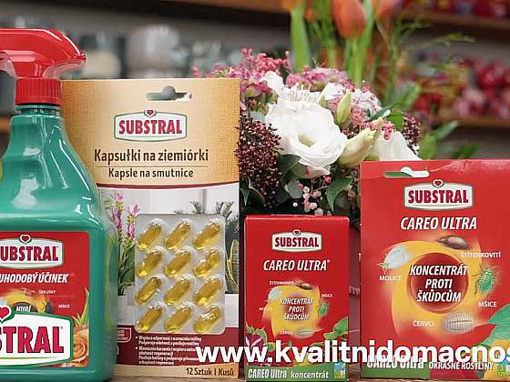 Otevřít článek/video: Soutěž z Receptáře: Vyhrajte produkty SUBSTRAL na ochranu rostlin před škůdci