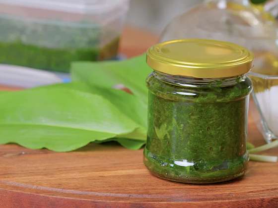 Pesto z medvědího česneku 