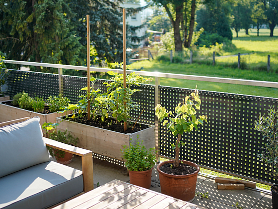 Vyvýšené záhony na balkon, terasu i zahradu. Proč si je pořídit?