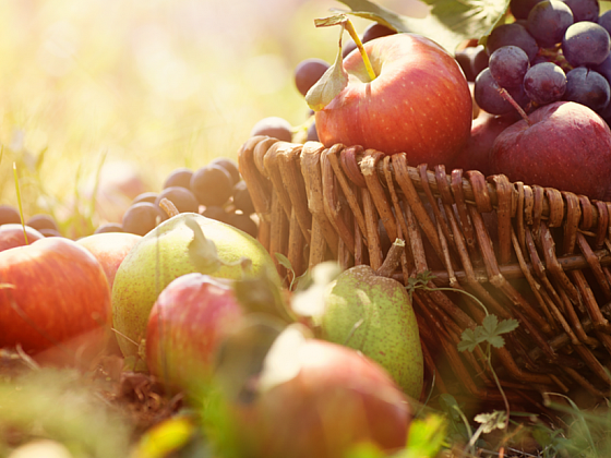 Jak ideálně doma skladovat ovoce a zeleninu?