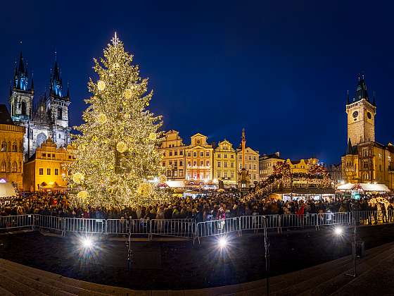 Téměř půl roku do zahájení Vánočních trhů – Praha začíná hledat svůj adventní strom