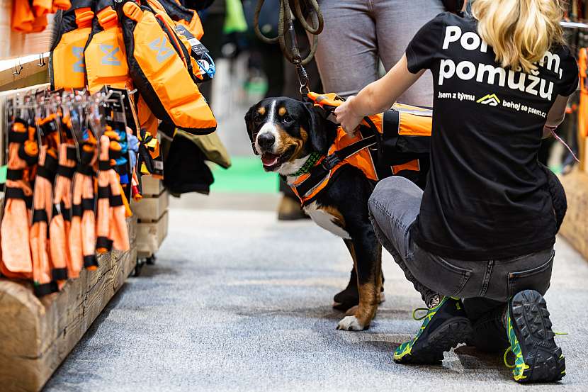 Tradičním spolupořadatelem veletrhu je Nadace na ochranu zvířat