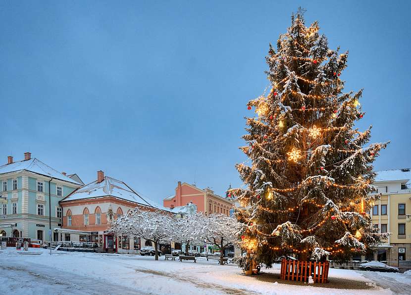 Kutná Hora a vánoční strom, to je advent a Vánoce ve středních Čechách (Zdroj: SCCR)