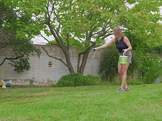 Trávník před zimou