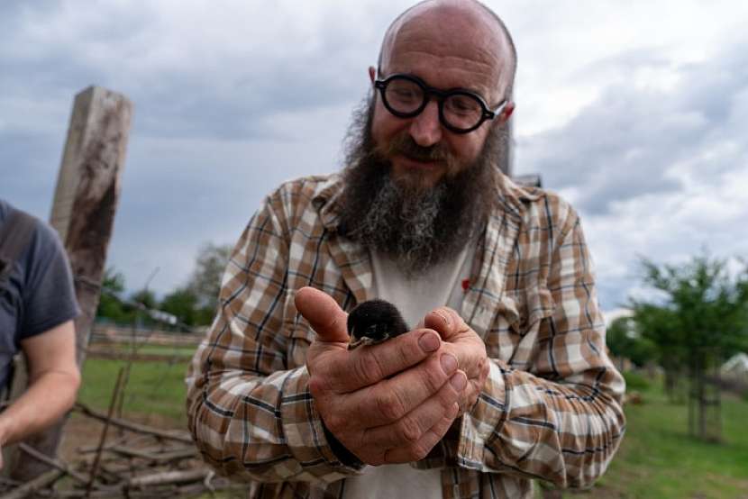 Zahradník po ruce vysvětlí, jak pečovat o kuřátka
