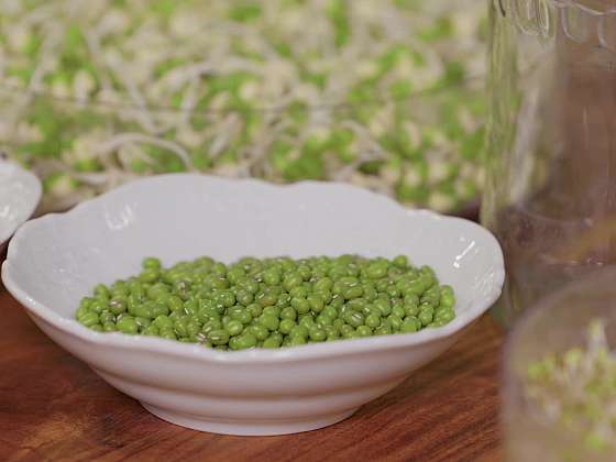 Klíčení doma: Čerstvé vitamíny snadno a levně po celý rok