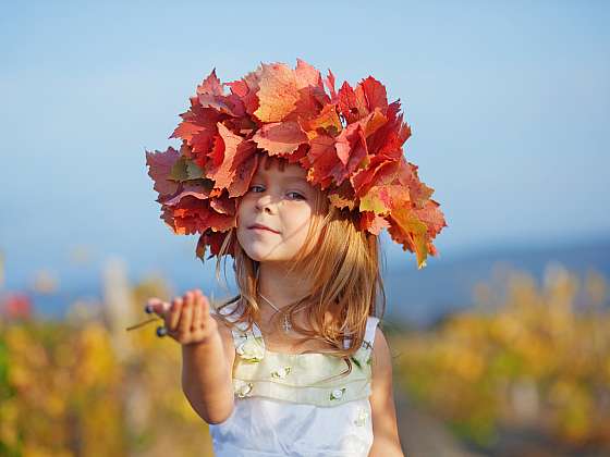 otevřít: Podzimní věnec z listí hraje barvami i příjemně nostalgickou náladou