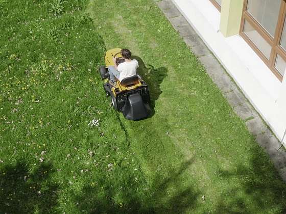 Trávník před zimou