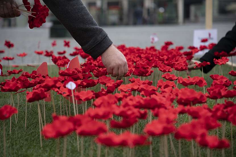 Symbolem uctění válečných veteránů se stal květ vlčího máku (Zdroj: Paměť národa / OC Šestka)