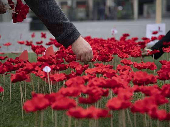 OC Šestka podporuje sbírku Den válečných veteránů. V listopadu můžete přispět do jedné ze čtyř kasiček