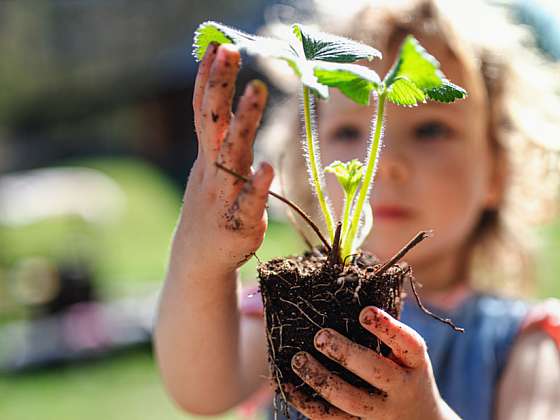 Zahrada vhodná pro malé děti – jedlá a objevná