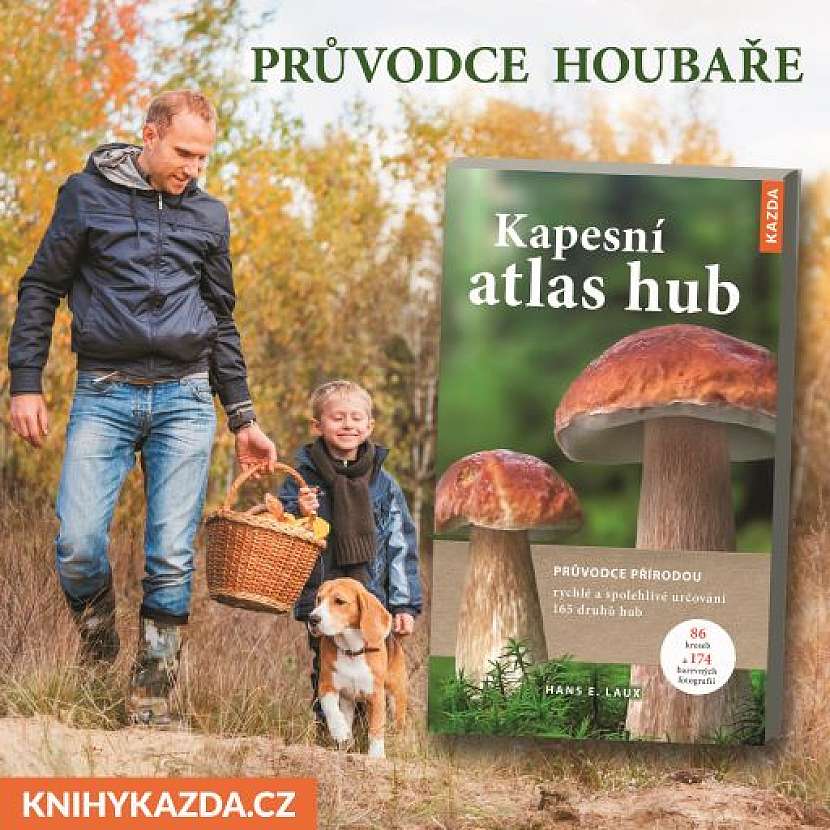 Hans E. Laux: Kapesní atlas hub a Folko Kulman: Vše o pěstování hub (Zdroj: Nakladatelství Kazda)
