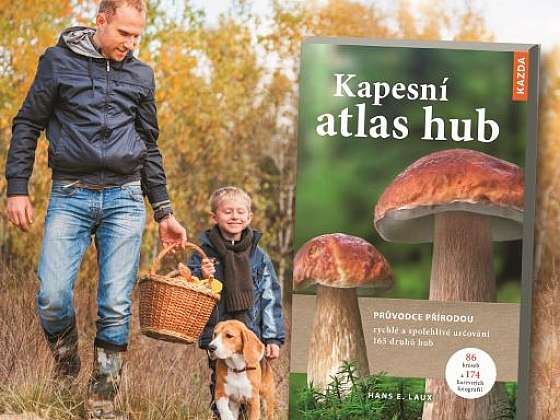 Knižní novinky: Kapesní atlas hub a Vše o pěstování hub