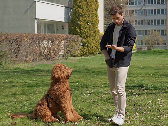 Žraní věcí ze země