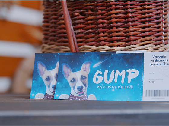 Soutěž z Receptáře: Vyhrajte dvě vstupenky na premiéru filmu GUMP - pes, který naučil lidi žít