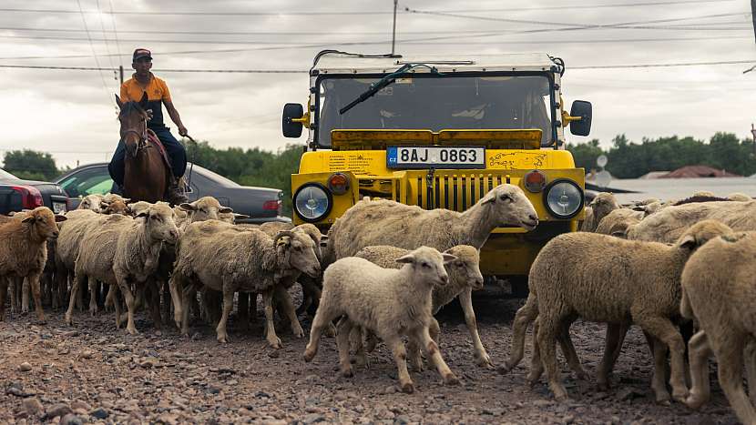 Se žábami se do Žlutého cirkusu vrátila spousta neznámého