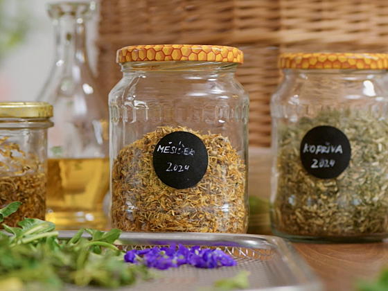 Jak správně uchovat bylinky