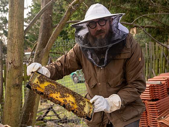 Proč chovat včely? Ponořte se do světa včelařství!