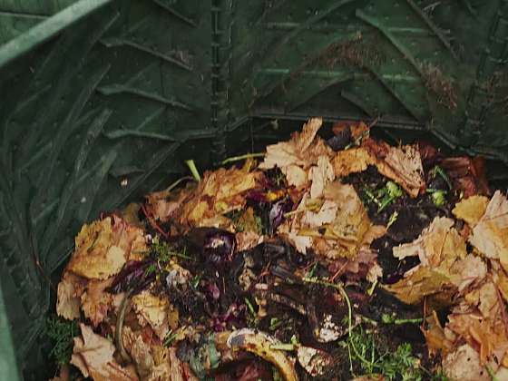 Co se zahradním odpadem