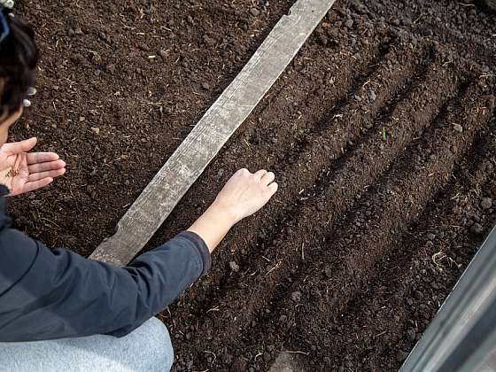 Jaro je tady a s ním přichází do zahrady období plné naděje a nových začátků