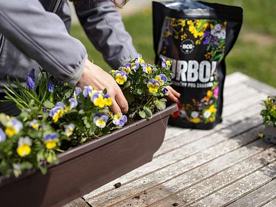 otevřít: Soutěž z Receptáře: Vyhrajte kompletní produktovou řadu půdních vitamínů TURBO!