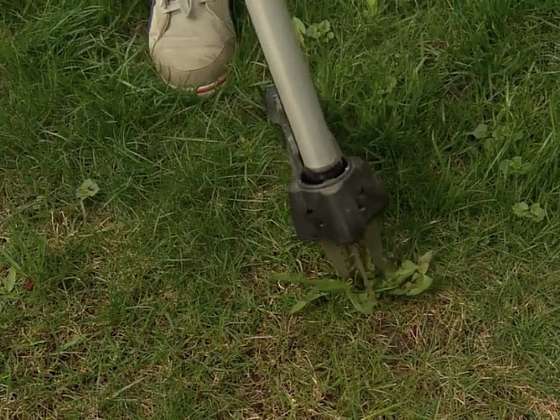 Mechanické odstraňování plevelů z trávníku pomocí vypichovače