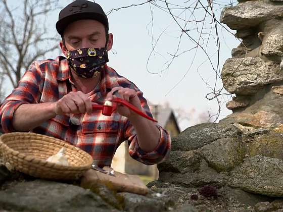 Jak lisovat česnek, aby byl lis vždy čistý a snadný na údržbu