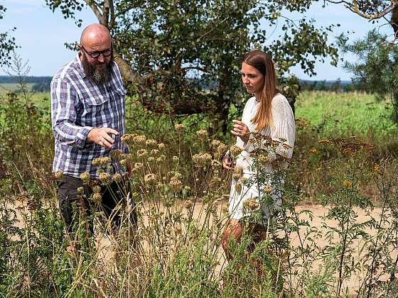 otevřít: Vše, co potřebujete vědět o správném způsobu sběru rostlin