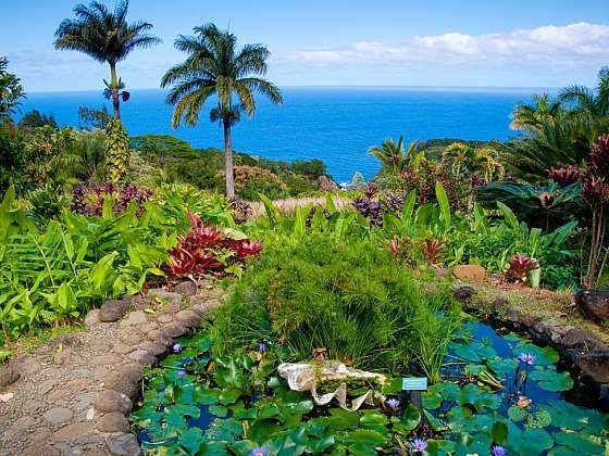 Inspirujte se zahradami na Havaji