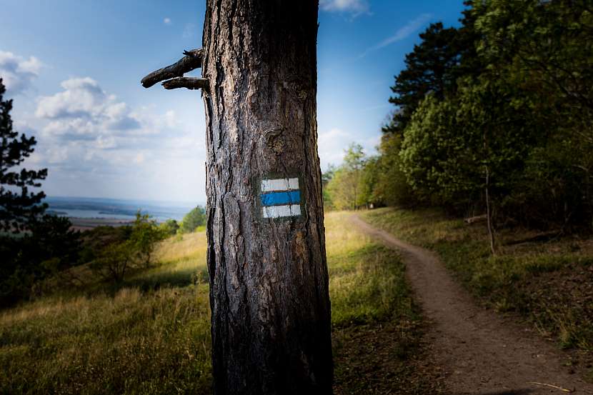 Víte, jakou stopu česká turistická značka zanechala v Mongolsku nebo Brazílii?