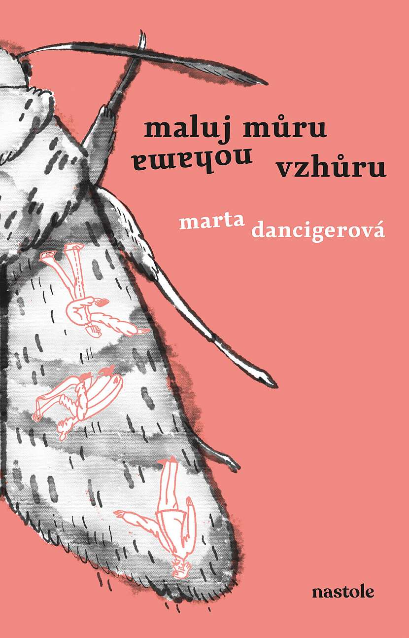 Zábavná novela Maluj můru nohama vzhůru vznikla na sociálních sítích Marty Dancingerové