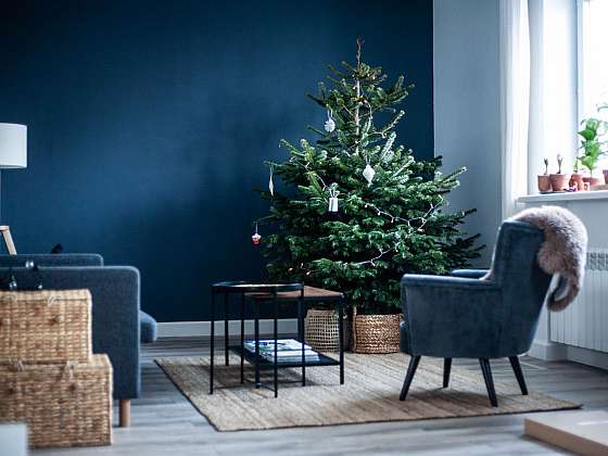 Tipy, jak vybrat pěkný vánoční stromek