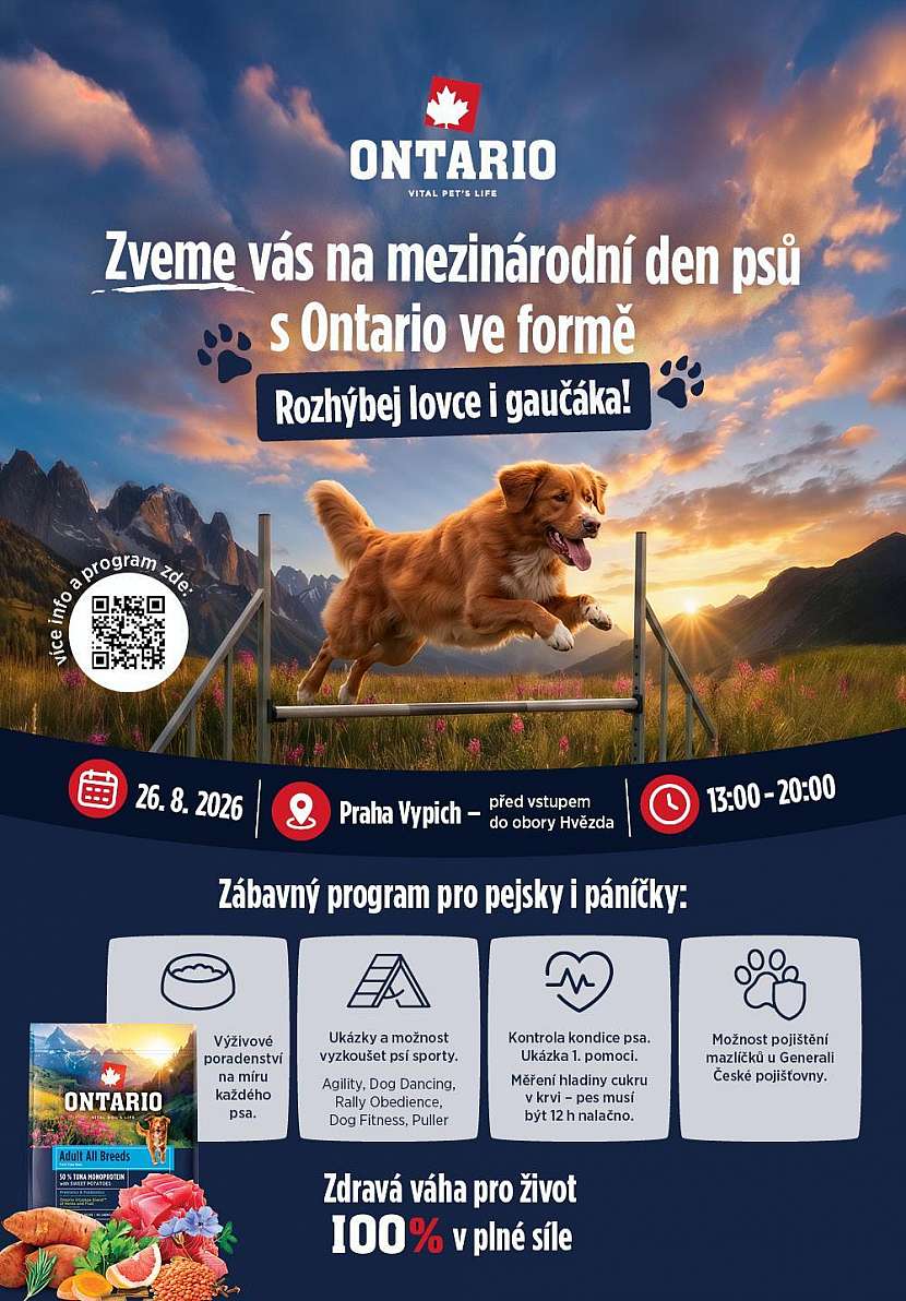 Akce je určena všem pejskařům i jejich čtyřnohým parťákům